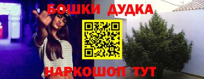 прущие грибы Нарткала