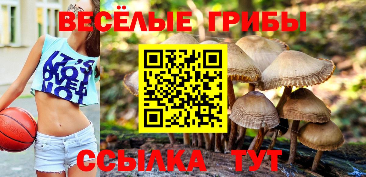 Тихвин  Галлюциногенные грибы ЛСД  Вход с VPN 