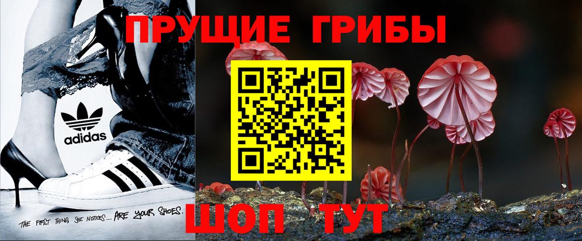 Псилоцибиновые грибы Magic Shrooms Тихвин